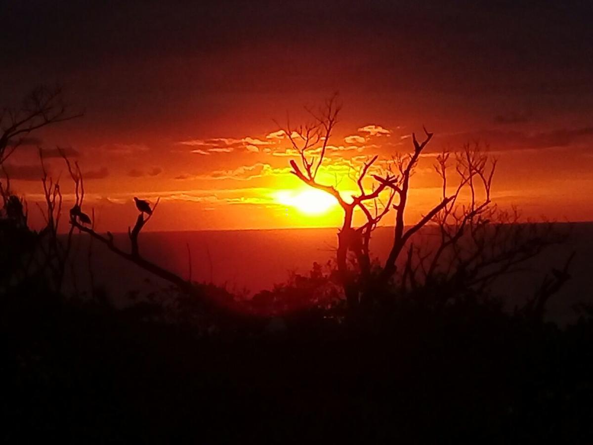 Wailana Lodge ラムスゲイト エクステリア 写真
